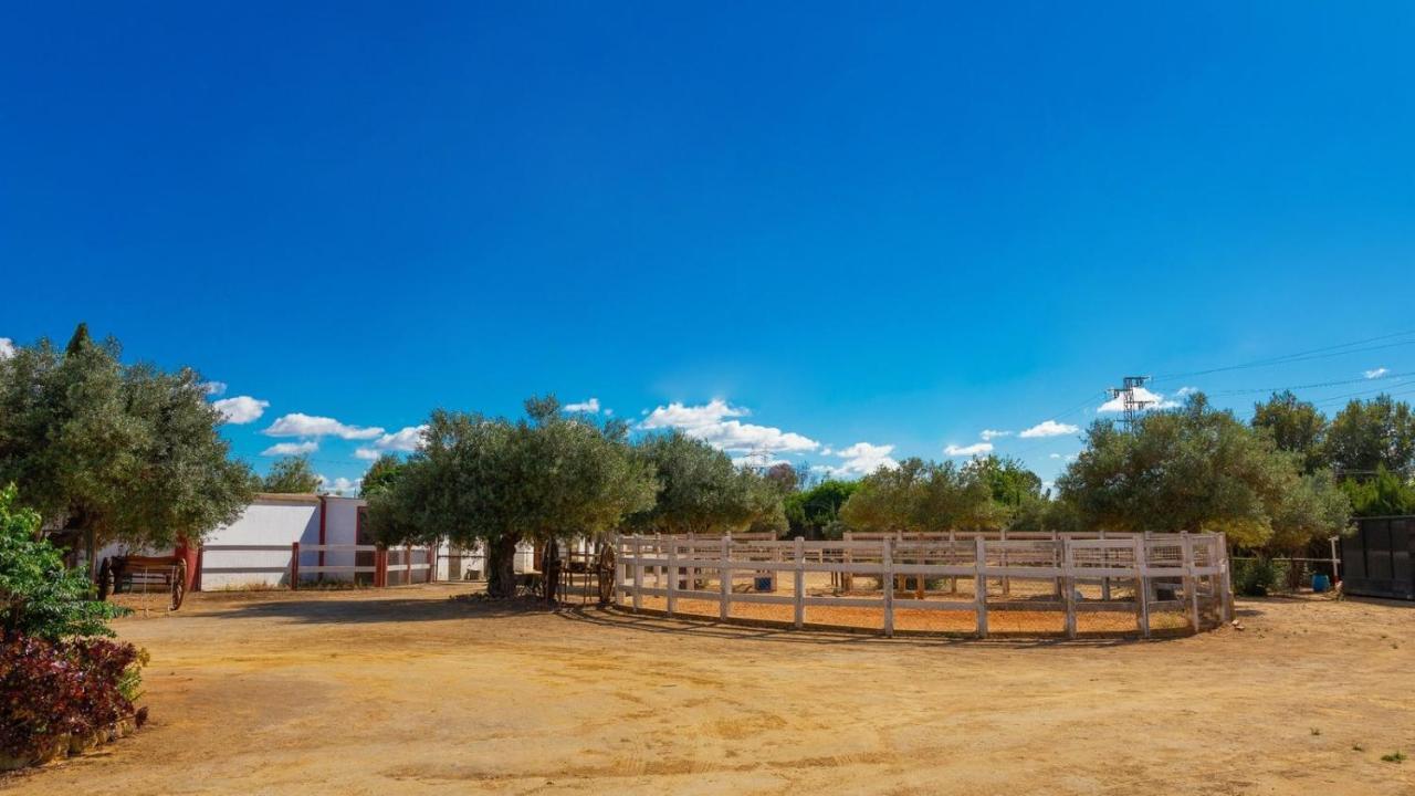 Finca La Canera Alcala De Guadaira By Ruralidays Buitenkant foto
